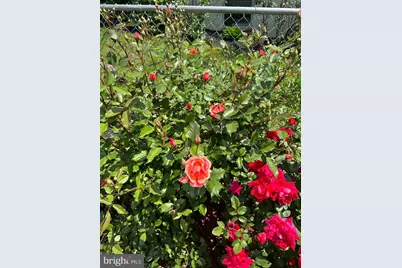 4061 Locust Lane, Harrisburg, PA 17109 - Photo 65