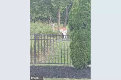 2705 Box Elder Court, Harrisburg, PA 17112 - Photo 49