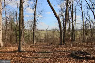 175 Crooked Hill Rd, Hummelstown, PA 17036 - Photo 43