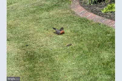 2308 Cypress Drive, Harrisburg, PA 17110 - Photo 53