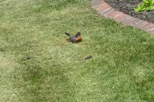 2308 Cypress Dr, Harrisburg, PA 17110 - Photo 53