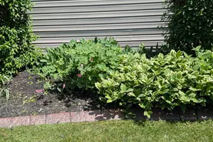 2308 Cypress Dr, Harrisburg, PA 17110 - Photo 49