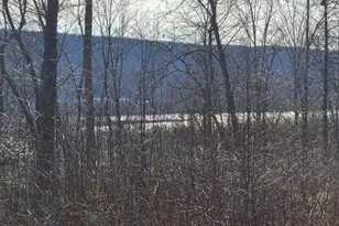 1241 Gap View Rd, Dauphin, PA 17018 - Photo 3