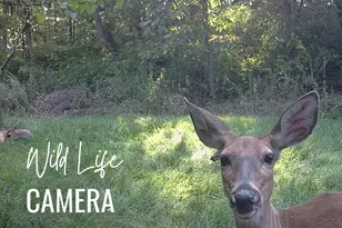 122 Wayne Dr, Harrisburg, PA 17112 - Photo 45