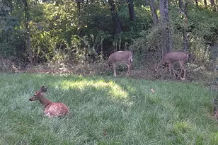 122 Wayne Dr, Harrisburg, PA 17112 - Photo 47