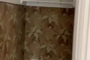 331 Hummel St, Harrisburg, PA 17104 - Photo 15