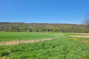 0 Rt 225, Elizabethville, PA 17023 - Photo 3