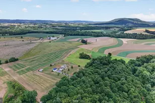 151 Bechtel Rd, Elizabethville, PA 17023 - Photo 59