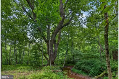 4144 Back Road, Halifax, PA 17032 - Photo 15