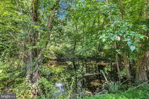 1831 Miller Rd Ext, Dauphin, PA 17018 - Photo 57