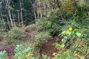6957 Fishing Creek Valley Rd, Harrisburg, PA 17112 - Photo 7