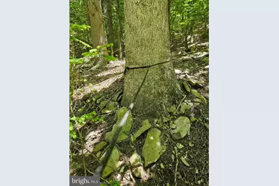 Pa-225, Elizabethville, PA 17023 - Photo 17