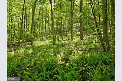 Pa-225, Elizabethville, PA 17023 - Photo 21