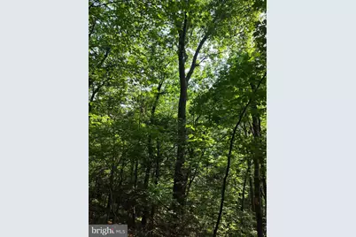 Pa-225, Elizabethville, PA 17023 - Photo 43