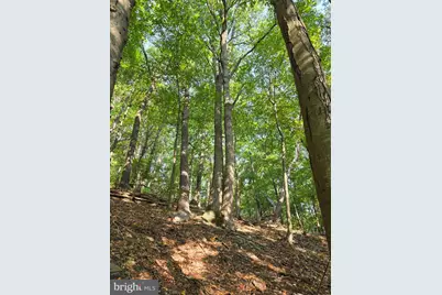 Pa-225, Elizabethville, PA 17023 - Photo 49
