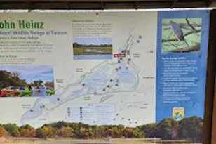 830 4th Ave, Prospect Park, PA 19076 - Photo 9