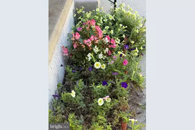 241 Fairview Road, Crum Lynne, PA 19022 - Photo 33