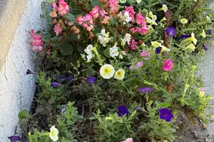 241 Fairview Rd, Crum Lynne, PA 19022 - Photo 33