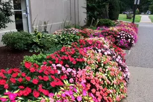 1030 E Lancaster Ave, Bryn Mawr, PA 19010 - Photo 3