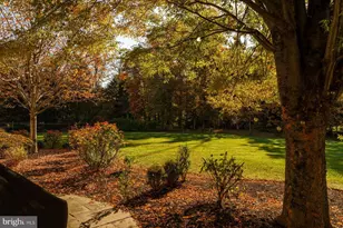 423 Boxwood Rd, Bryn Mawr, PA 19010 - Photo 35