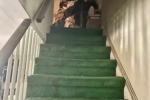 210 Farnham Rd, Havertown, PA 19083 - Photo 9