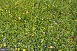 1554 Meadow Ln, Glen Mills, PA 19342 - Photo 63