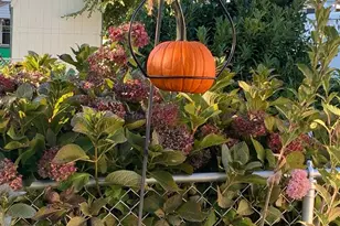 921 Addingham Ave, Drexel Hill, PA 19026 - Photo 85