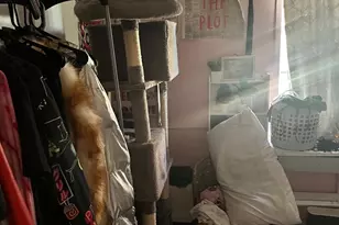 719 Beech Ave, Glenolden, PA 19036 - Photo 31