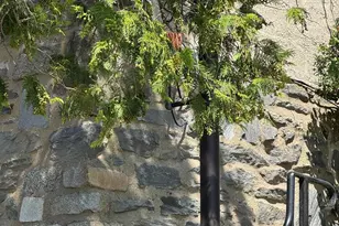 2313 Haverford Rd, Ardmore, PA 19003 - Photo 3