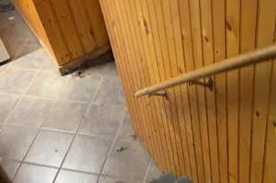 2313 Haverford Rd, Ardmore, PA 19003 - Photo 9