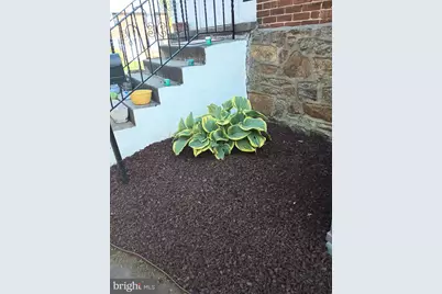 250 E Avon Road, Brookhaven, PA 19015 - Photo 5