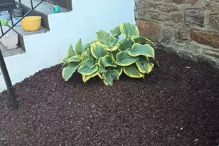 250 E Avon Rd, Brookhaven, PA 19015 - Photo 5