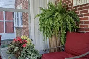 250 E Avon Rd, Brookhaven, PA 19015 - Photo 11