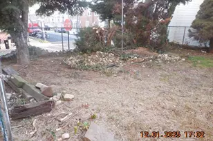 1224 E 11th St, Crum Lynne, PA 19022 - Photo 5