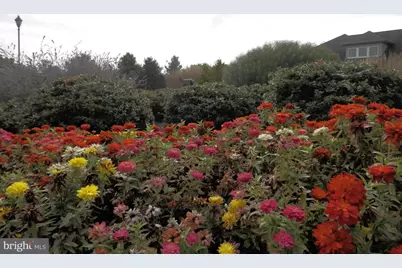 4106 Poplar Street, Garnet Valley, PA 19060 - Photo 51