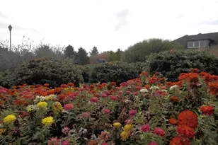 4106 Poplar St, Garnet Valley, PA 19060 - Photo 51