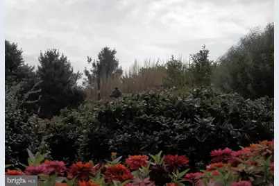 4106 Poplar Street, Garnet Valley, PA 19060 - Photo 53