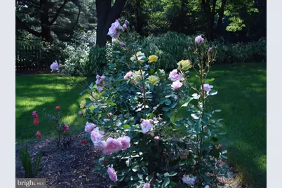 7 Todmorden Drive, Rose Valley, PA 19086 - Photo 5