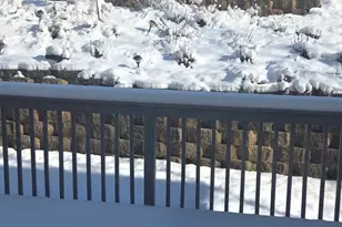 3 Whalens Ct, Drexel Hill, PA 19026 - Photo 37