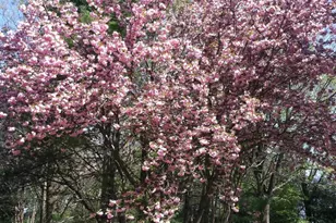 3320 Goodley Rd, Garnet Valley, PA 19060 - Photo 81