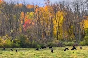 514 Waters Edge, Newtown Square, PA 19073 - Photo 5