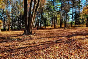 1616 Meadow Ln, Glen Mills, PA 19342 - Photo 5