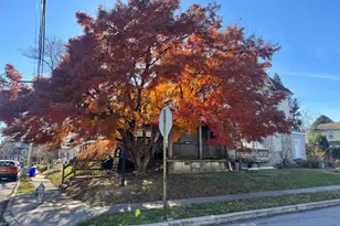 1324 Fletcher Ave, Prospect Park, PA 19076 - Photo 3