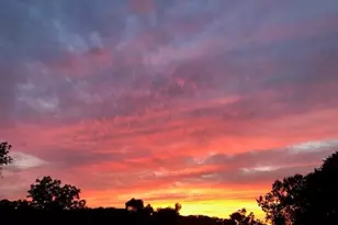 711 W Brookhaven Rd, Wallingford, PA 19086 - Photo 33