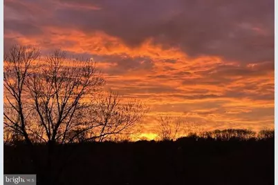 711 W Brookhaven Road, Wallingford, PA 19086 - Photo 3