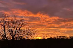 711 W Brookhaven Rd, Wallingford, PA 19086 - Photo 3