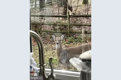 339 Plush Mill Road, Wallingford, PA 19086 - Photo 23