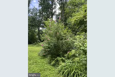 339 Plush Mill Road, Wallingford, PA 19086 - Photo 31