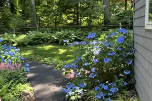 339 Plush Mill Rd, Wallingford, PA 19086 - Photo 27