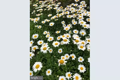 152 Woodbine Road, Havertown, PA 19083 - Photo 7